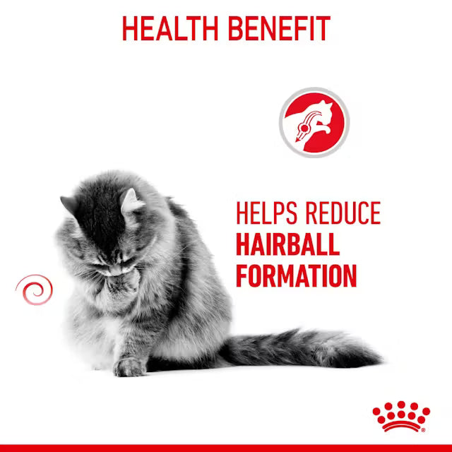 Royal Canin Hairball Care Dry Cat Food – 2kg Bag